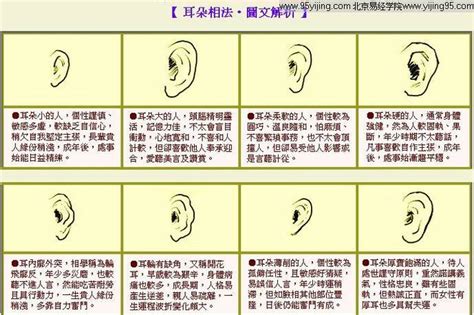 耳垂外翻 面相|十六种耳朵面相图文分析三六风水网